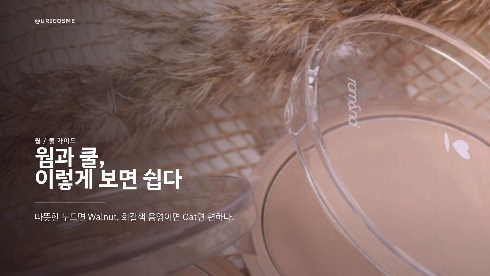 롬앤 쉐딩 베러댄쉐이프, 입문용으로 괜찮을까? 원형 2색 쉐딩 솔직 리뷰 - 2