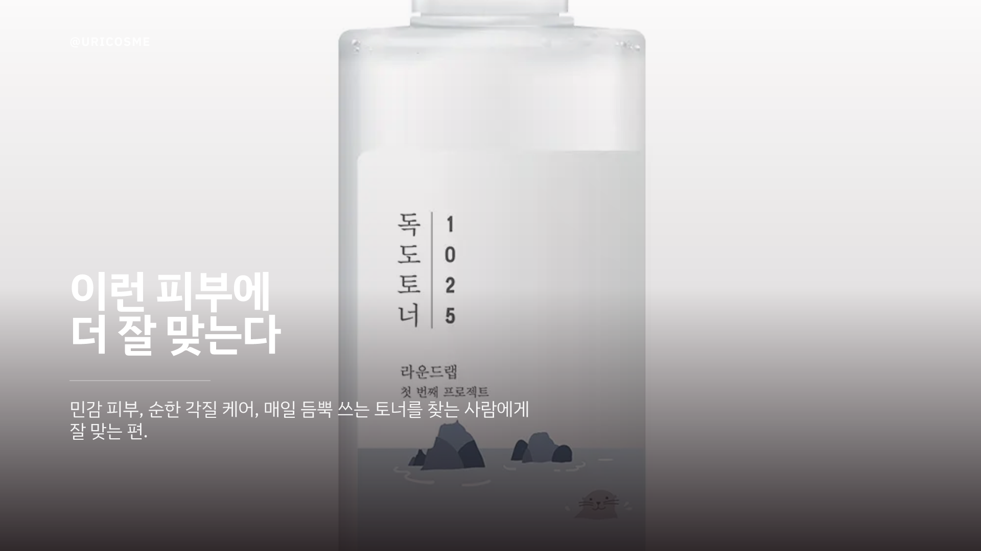 라운드랩 1025 독도 토너, 왜 5년 연속 올리브영 1위일까 - 2