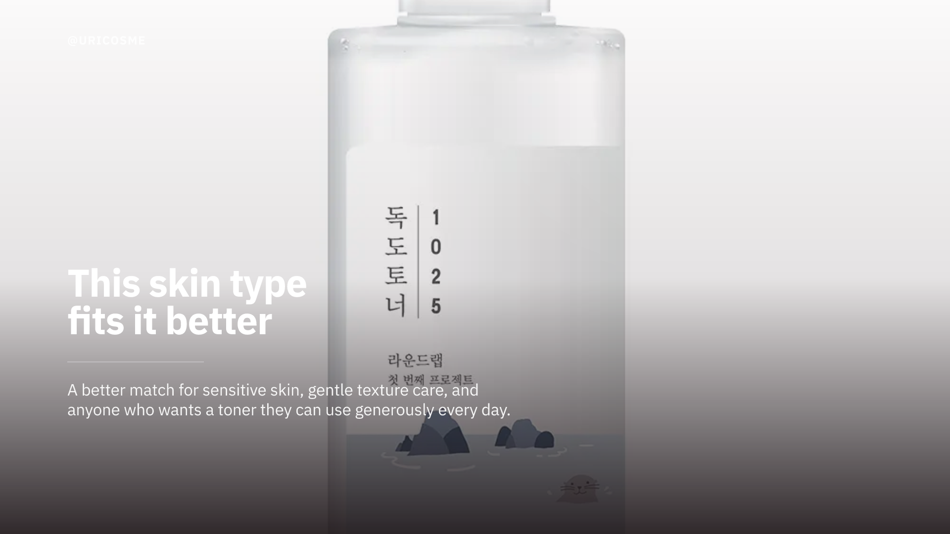 Round Lab 1025 Dokdo Toner: Why Has It Been Olive Young's No. 1 for 5 Years? - 2