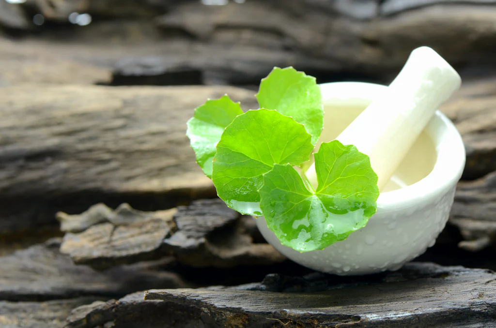 Korean skincare lines built on calming actives such as mugwort and centella